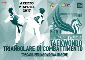 Triangolare di Combattimento @ Palestra Comunale