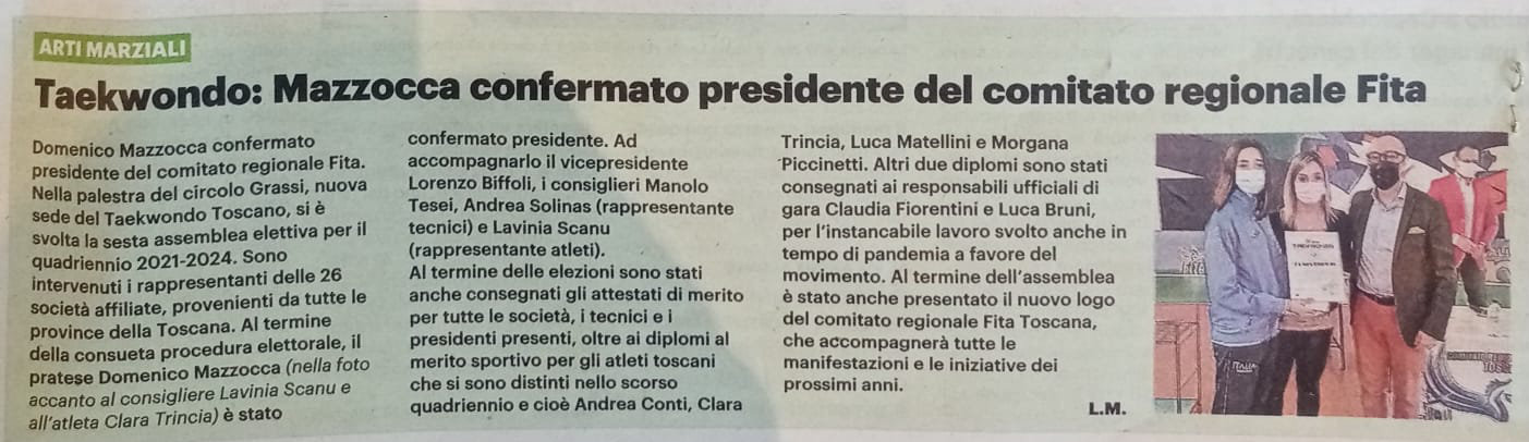 Articolo giornale
